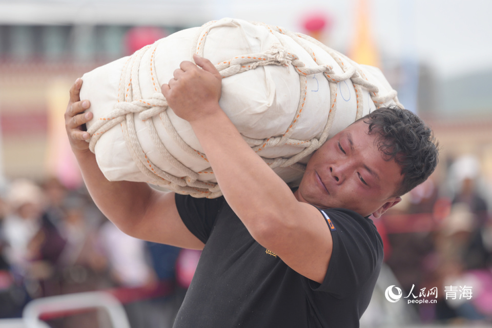 青海省第八, Zn 青海省第八, Zn