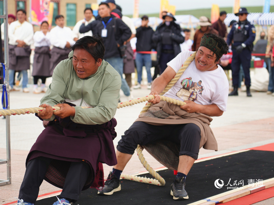 aMtNl, src, 杨启红摄 aMtNl, src, 杨启红摄