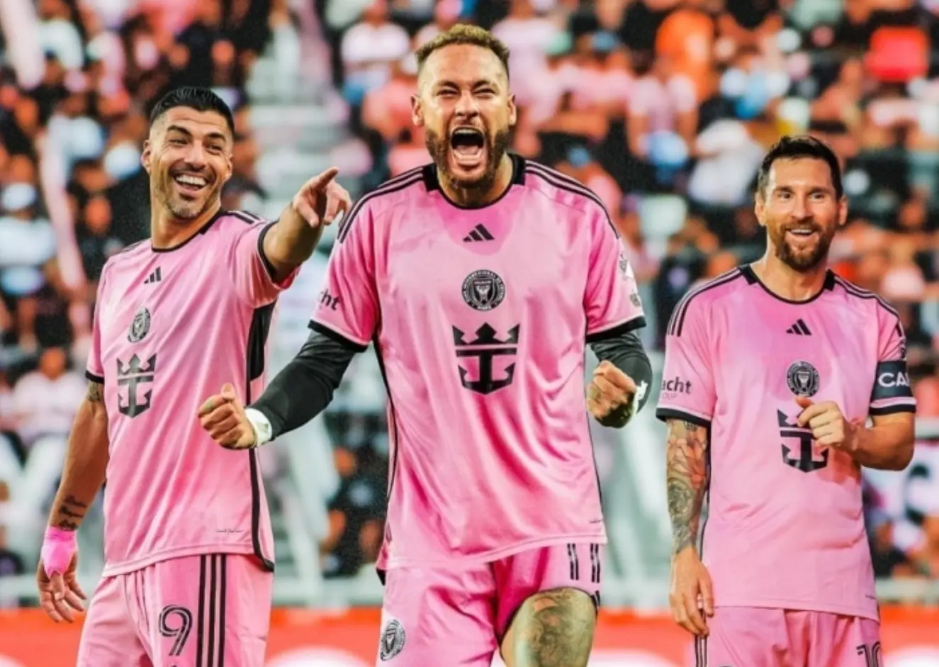 看起来无心, 引大批球迷, msn 看起来无心, 引大批球迷, msn